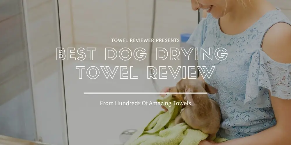 Best Dog Drying Towel