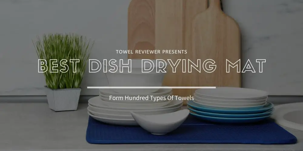 Best Dish Drying Mat