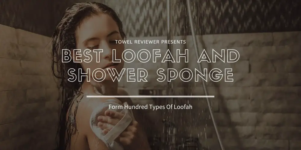 Best Loofah and Shower Sponge