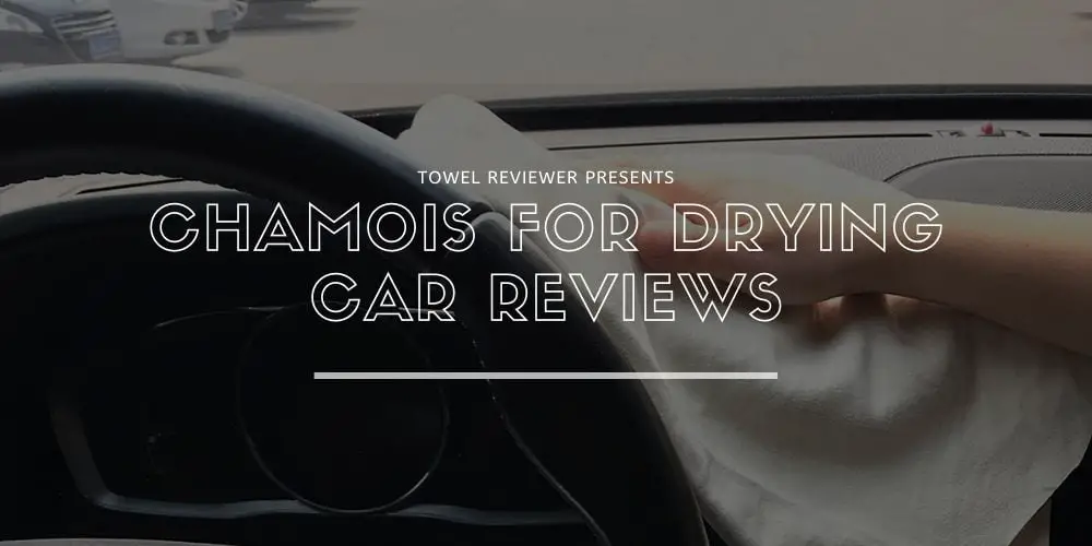 Best Chamois For Drying Car
