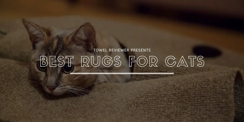 Best Rugs for Cats