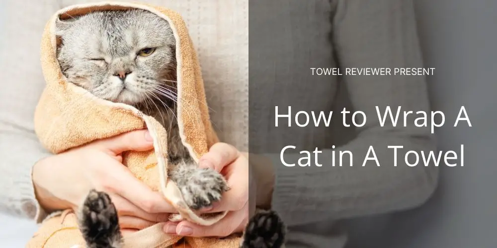 How to Wrap A Cat in A Towel