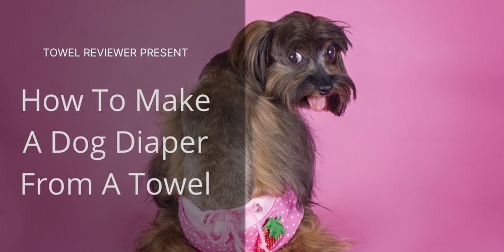 How To Make A Dog Diaper From A Towel