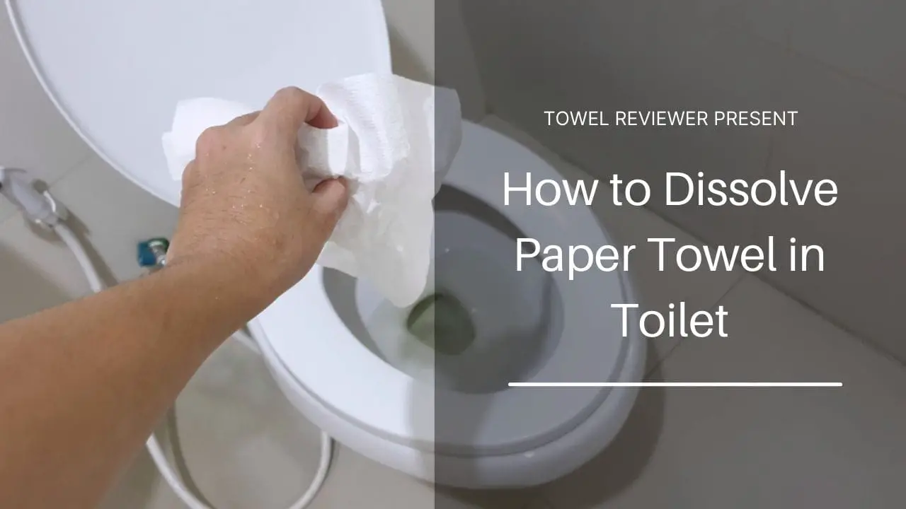 How to Dissolve Paper Towel in Toilet