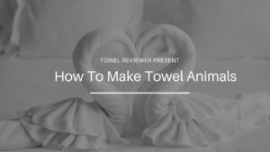 How To Make Towel Animals